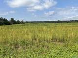 89 Acres Ripley Road - Photo 19