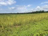89 Acres Ripley Road - Photo 20