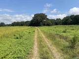 89 Acres Ripley Road - Photo 21