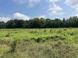 89 Acres Ripley Road - Photo 22