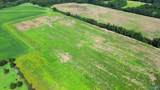 89 Acres Ripley Road - Photo 6