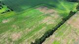89 Acres Ripley Road - Photo 9