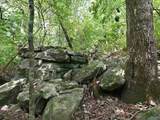 6319 Havenwood Drive - Photo 7