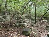 6321 Havenwood Drive - Photo 7