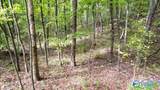 4.16 Acres Stewart Lane - Photo 4