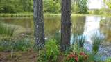 193AC County Road 1069 - Photo 1