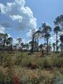 Lot 34 County Road 158 - Photo 1