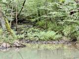 126 AC County Road 97 - Photo 12