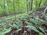 126 AC County Road 97 - Photo 24