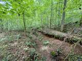 126 AC County Road 97 - Photo 34