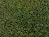 126 AC County Road 97 - Photo 7