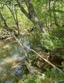 Lot #4 County Road 519 - Photo 18