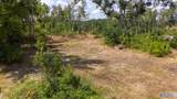 Lot #4 County Road 519 - Photo 8