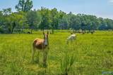5605 Alabama Highway 68 - Photo 49