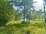 24 +/- acres County Road 102 - Photo 10
