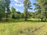 24 +/- acres County Road 102 - Photo 6