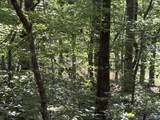 1500 County Road 103 - Photo 2