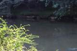 4.7 acres Finlen Road - Photo 10