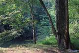 4.7 acres Finlen Road - Photo 13