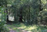 4.7 acres Finlen Road - Photo 2