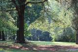 4.7 acres Finlen Road - Photo 23