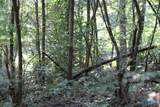 4.7 acres Finlen Road - Photo 3