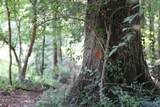 4.7 acres Finlen Road - Photo 4