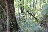 4.7 acres Finlen Road - Photo 5