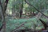 4.7 acres Finlen Road - Photo 7