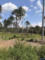 Lot 37 County Road 158 - Photo 1