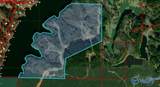 98 acres County Road 102 - Photo 23