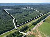 94 Acres County Road 51 - Photo 1