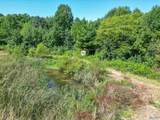 94 Acres County Road 51 - Photo 10