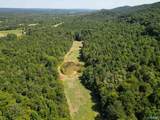 94 Acres County Road 51 - Photo 14