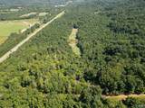 94 Acres County Road 51 - Photo 15
