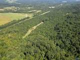 94 Acres County Road 51 - Photo 16
