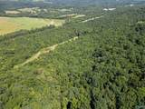 94 Acres County Road 51 - Photo 17