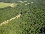 94 Acres County Road 51 - Photo 19
