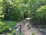 94 Acres County Road 51 - Photo 2