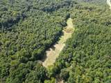 94 Acres County Road 51 - Photo 8