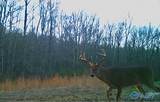 1128 Double S Mountain Road - Photo 35