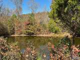 1128 Double S Mountain Road - Photo 36