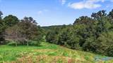 1128 Double S Mountain Road - Photo 48
