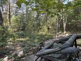 20.5 ac County Road 491 - Photo 1