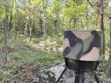20.5 ac County Road 491 - Photo 10
