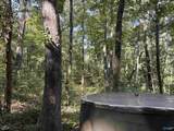 20.5 ac County Road 491 - Photo 11