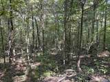 20.5 ac County Road 491 - Photo 12