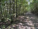 20.5 ac County Road 491 - Photo 13
