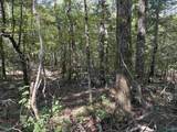 20.5 ac County Road 491 - Photo 14