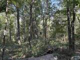 20.5 ac County Road 491 - Photo 17